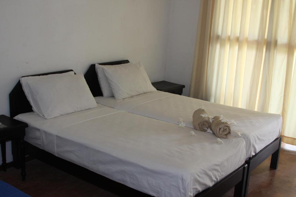 Ceylonica Beach Hotel Негомбо Екстер'єр фото