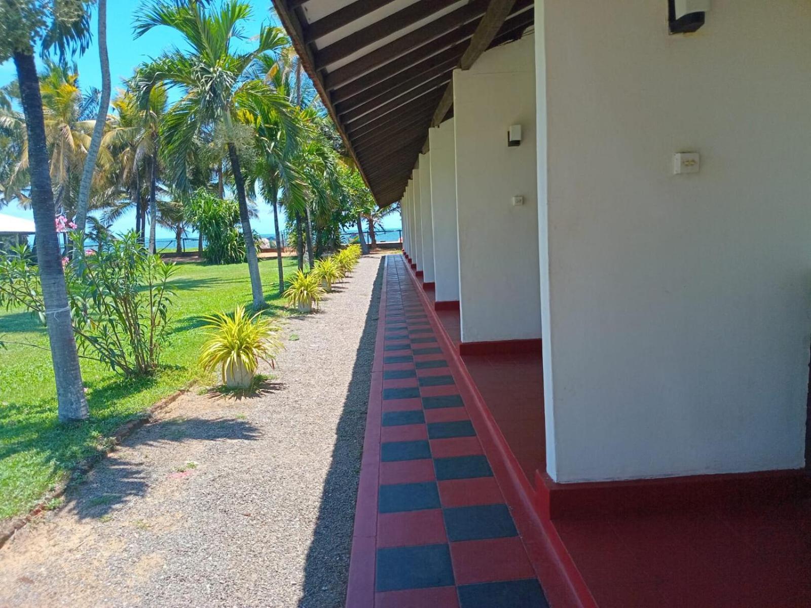Ceylonica Beach Hotel Негомбо Екстер'єр фото